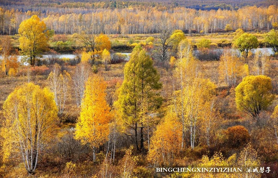 深秋的大兴安岭色彩斑斓,大兴安岭的秋天美景