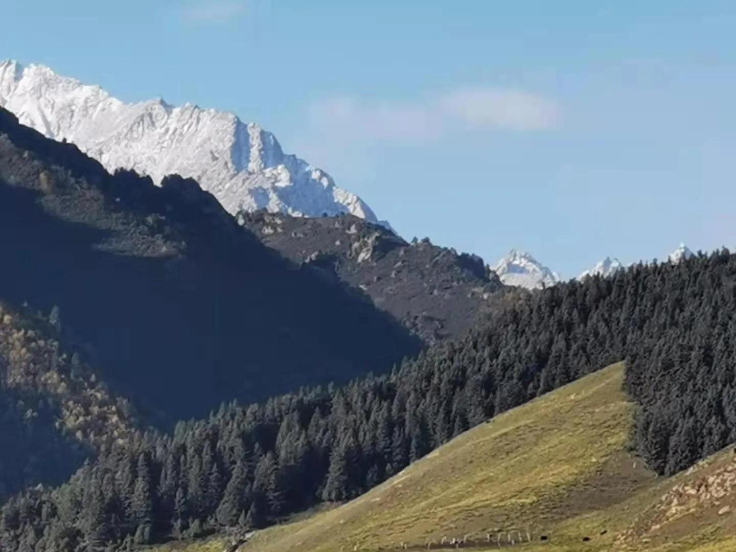 孟军创作的原声,孟军诗歌完整版