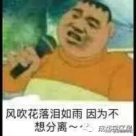一路之隔的楼盘,一路之隔的小区