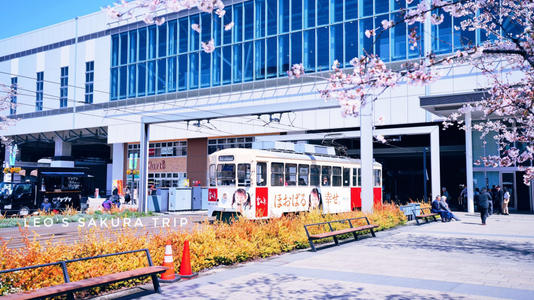 日本东京地铁攻略,日本东京旅游攻略景点大全