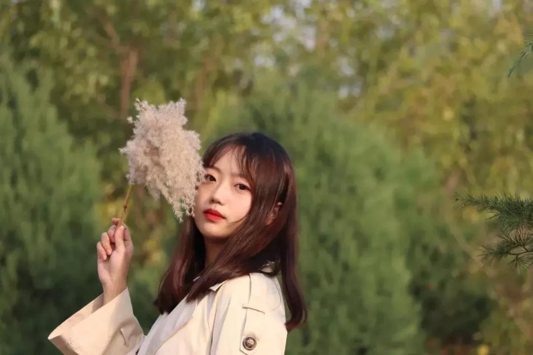 天津商业大学综合排名,天津商业大学真实排名