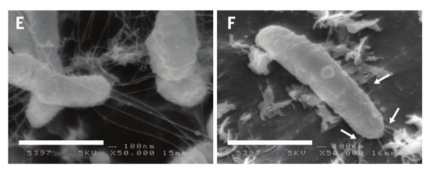 <html>
<head><title>502BadGateway</title></head>
<body>
<center><h1>502BadGateway</h1></center>
<hr><center>nginx</center>
</body>
</html>
<!--apaddingtodisableMSIEandChromefriendlyerrorpage-->
<!--apaddingtodisableMSIEandChromefriendlyerrorpage-->
<!--apaddingtodisableMSIEandChromefriendlyerrorpage-->
<!--apaddingtodisableMSIEandChromefriendlyerrorpage-->
<!--apaddingtodisableMSIEandChromefriendlyerrorpage-->
<!--apaddingtodisableMSIEandChromefriendlyerrorpage-->
