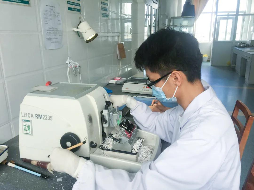 普洱市人民医院有肠镜检查,普洱市人民医院肠镜检查