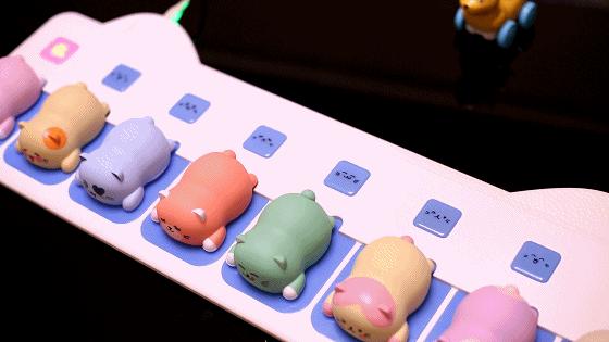 适合撸猫的猫咪,撸猫爱好者