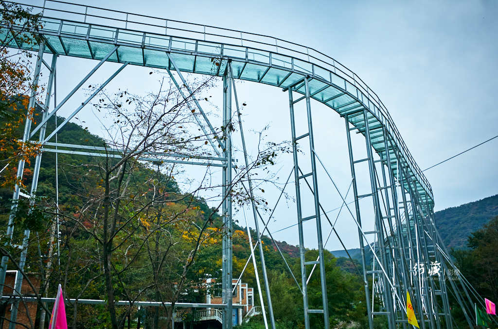 红了红了！在甘山的片片红叶中首波感受绚烂的秋天