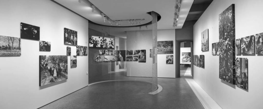 纽约时报视频大全,纽约时报最新头版震撼