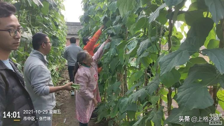 天禾宝赢套装为农作物的丰收保驾护航