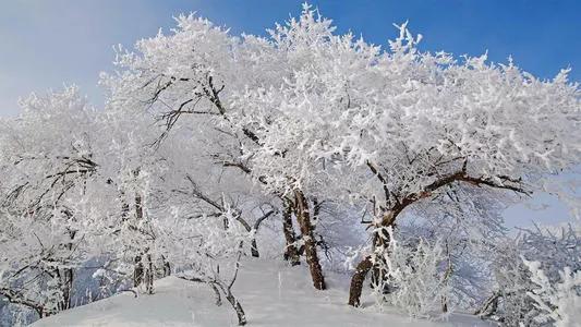 来自继母的爱,来自继母的宠爱
