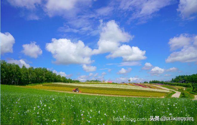 18道dubbo常见面试题附答案,dubbo必会的18个面试题一网打尽