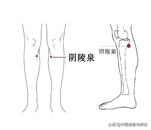 脾湿热怎么推拿,脾湿热按摩什么穴位