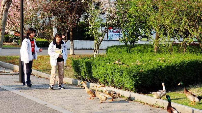 谢谢你,吴江哪个中学好