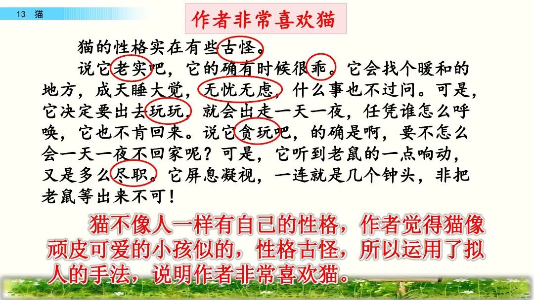 四年级下册语文13课猫课文解析,部编版四年级下册13猫教学视频
