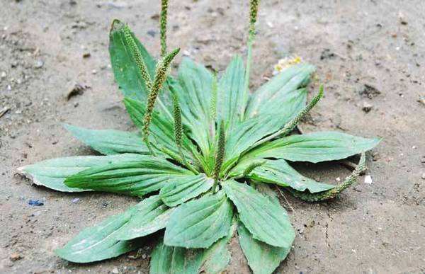 生活小妙招尿垢,躺着排尿的小妙招