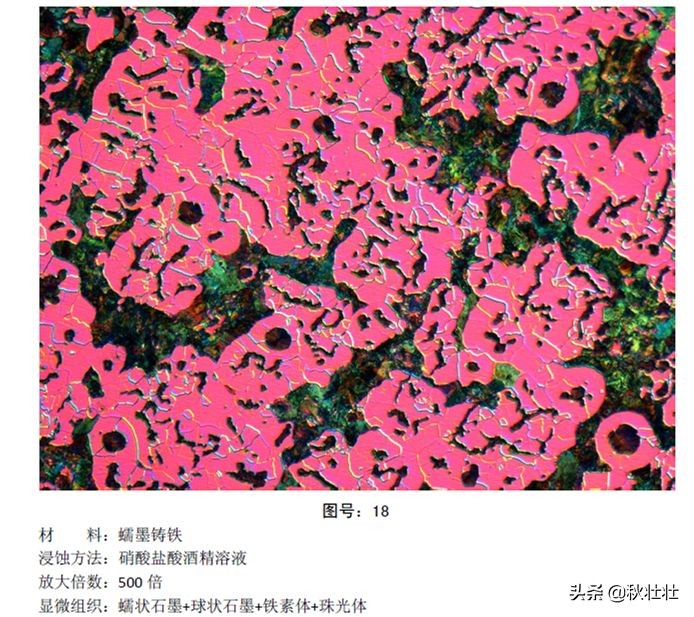 马氏体和奥氏体金相图片,马氏体和珠光体金相区别