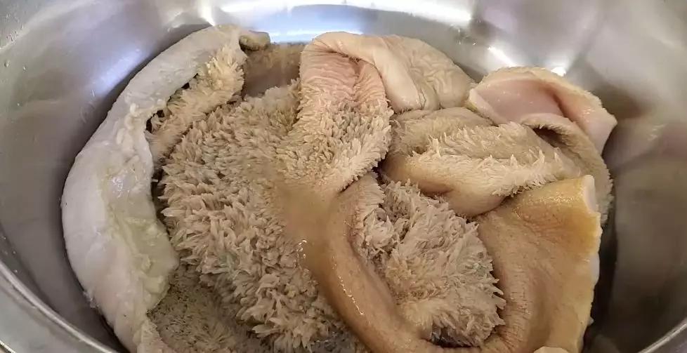 牛肚这样做5斤不够吃脆爽软烂,牛肚怎样做才嚼得烂爆炒