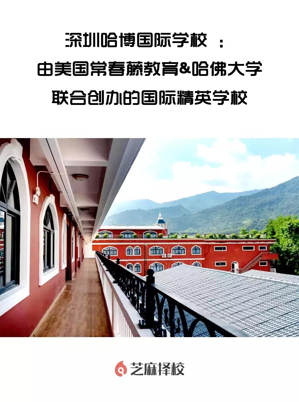 深圳哈博国际学校,深圳哈博国际学校地址