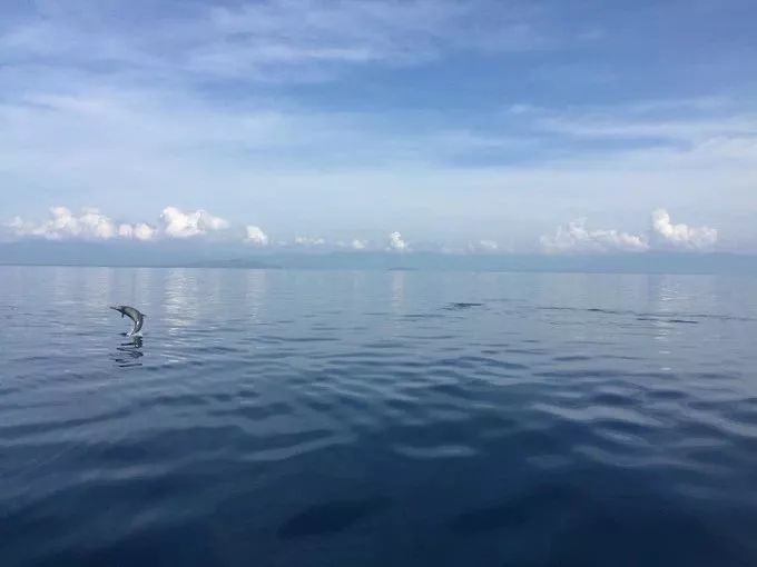 杜马盖地,杜马盖地如何