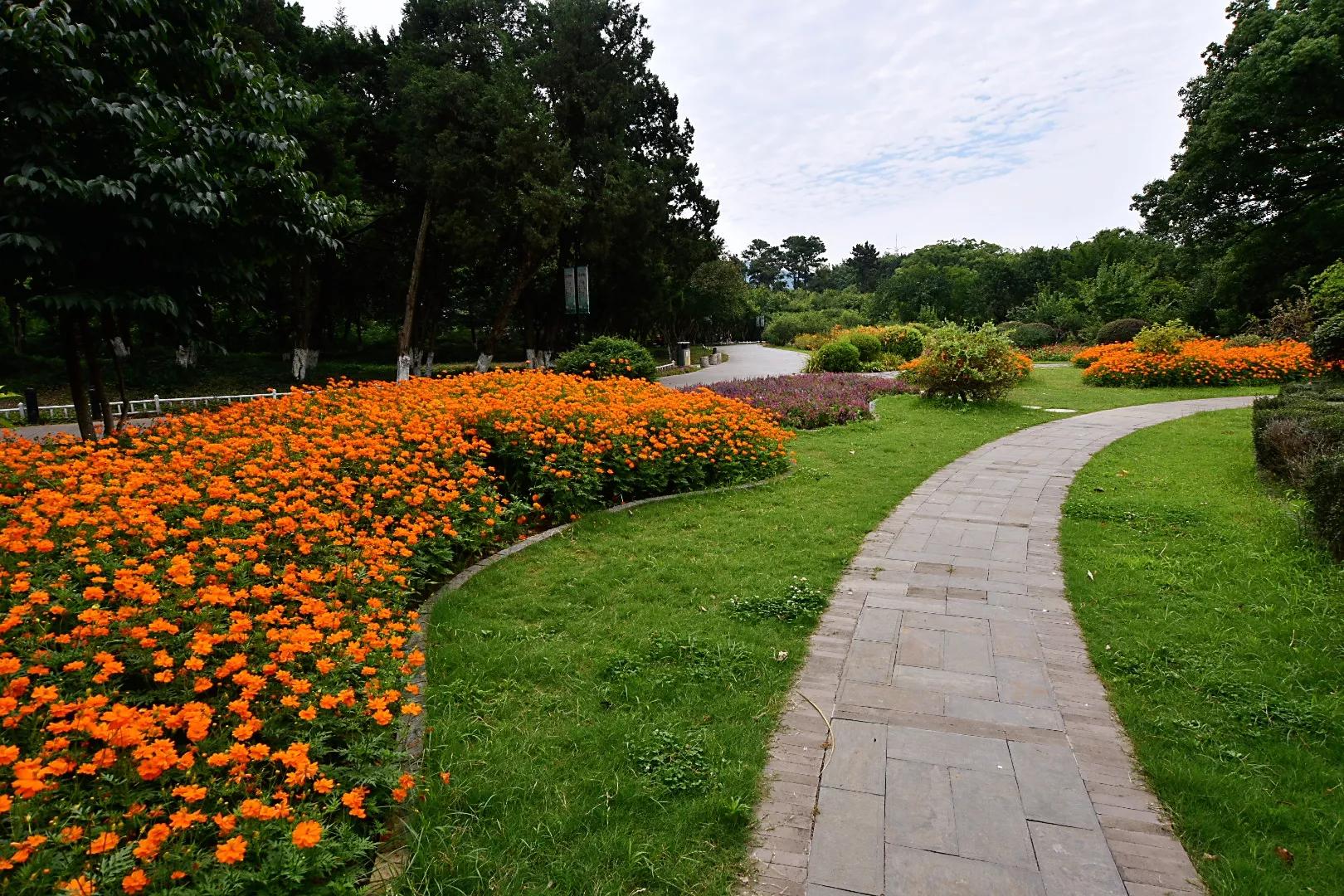 7200灏煎悍鍏夊湀,灏煎悍7200搴曠墖