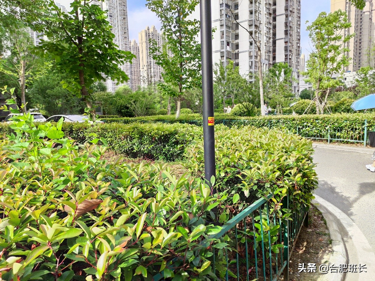 合肥滨湖欣园回迁房房价,盐城滨湖欣园回迁房