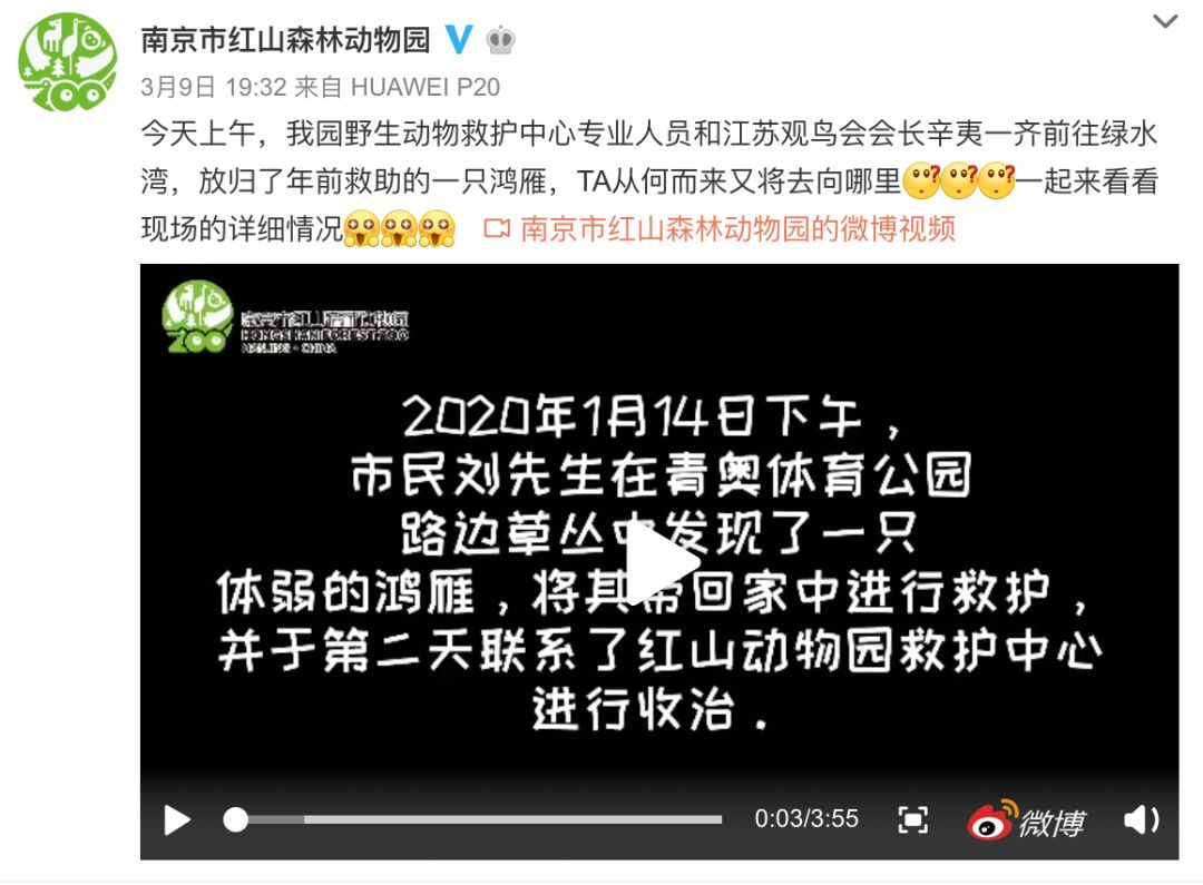 推荐最好玩的乐园,有没有值得玩的地方推荐一下