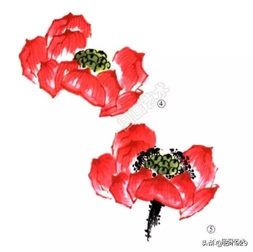 荷花的画法和步骤图解,最简单的荷花画法一学就会