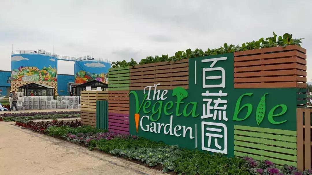 谁在保卫大棚蔬菜不被害虫啃光？这里正上演“以虫治虫”的“微型战争”