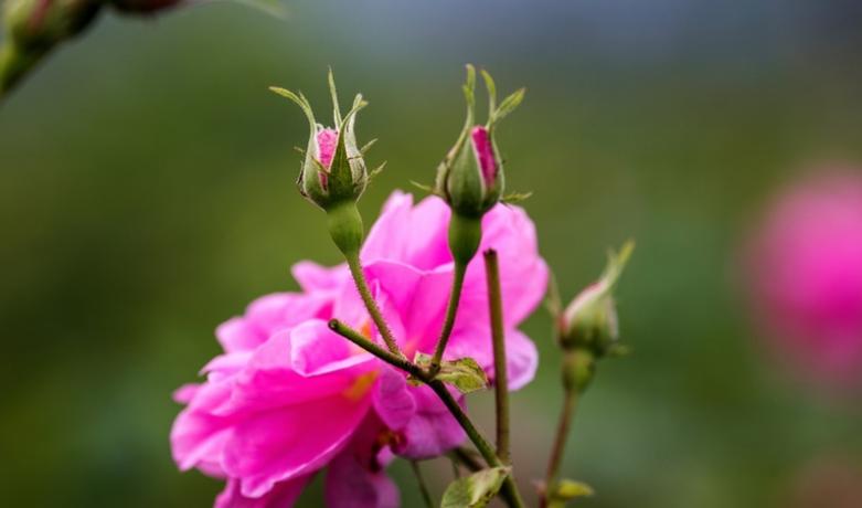 如果你爱上了一个有家庭的男人,要学会如此做