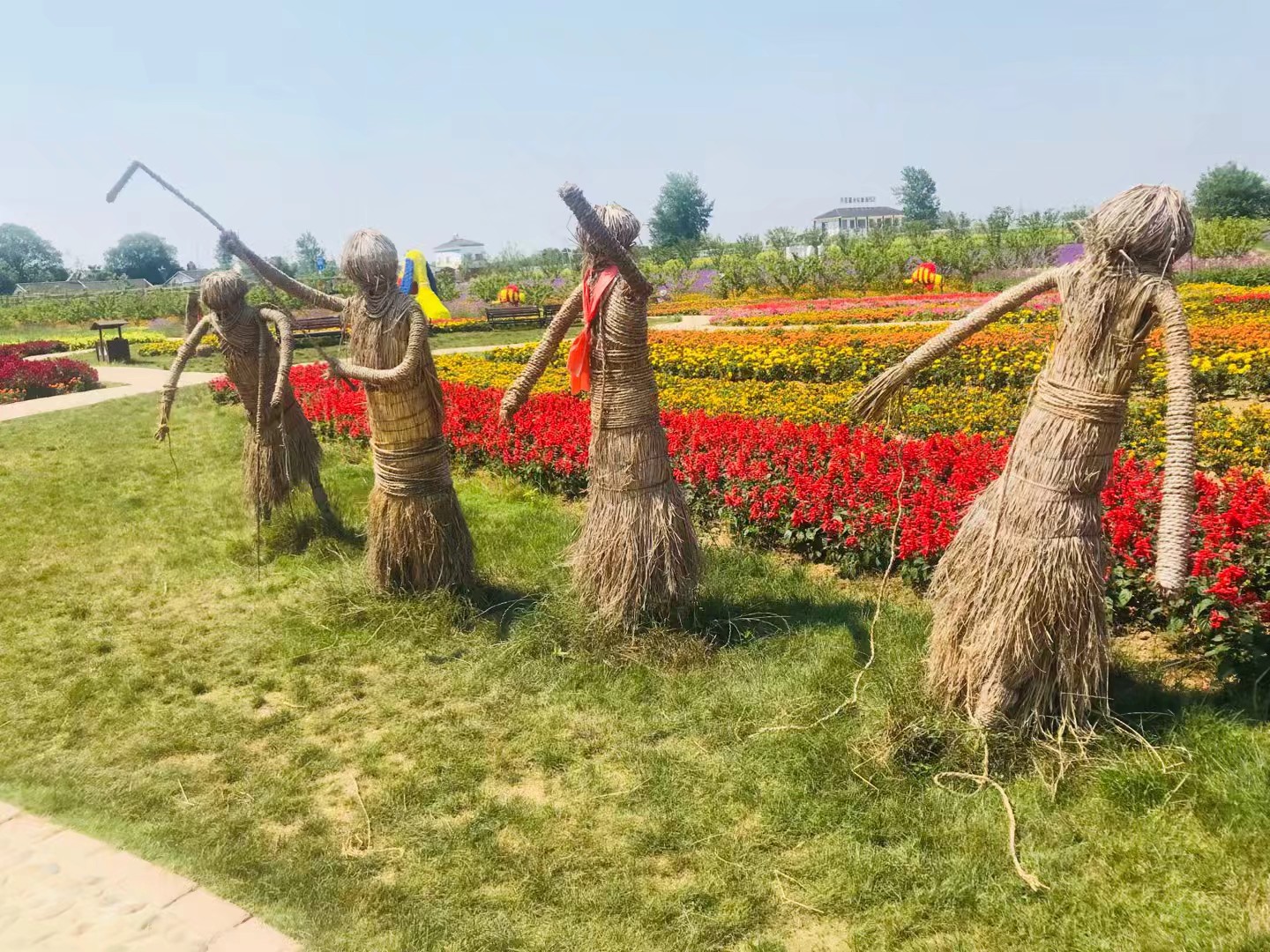 同心花海风景区,春光无限好旅游观光