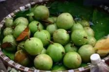 芽庄：人生必去的旅游地之一！