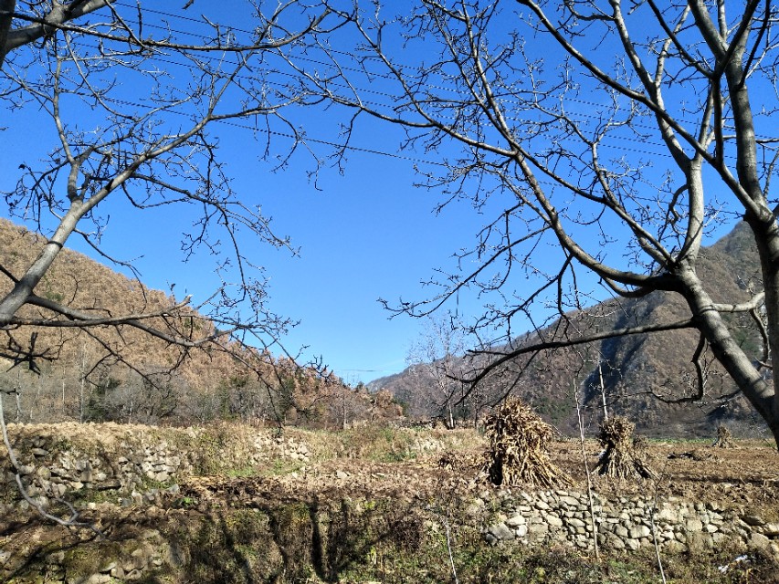 远去的炊烟文章,远去的儿时炊烟