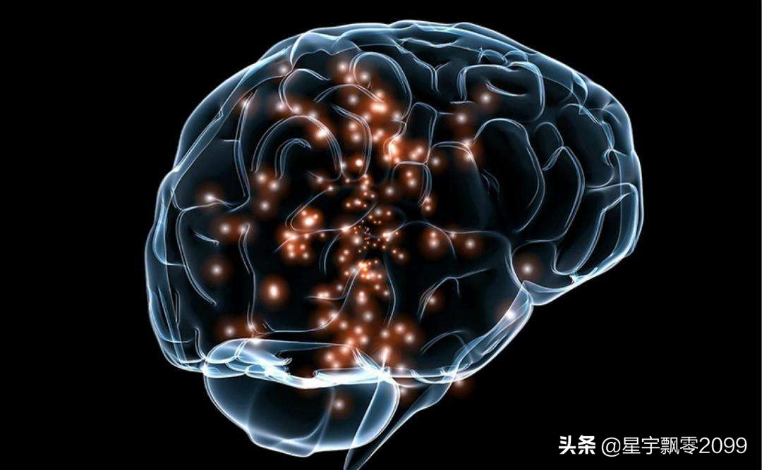 人的大脑潜能可全被激发出来吗,人的大脑有用吗