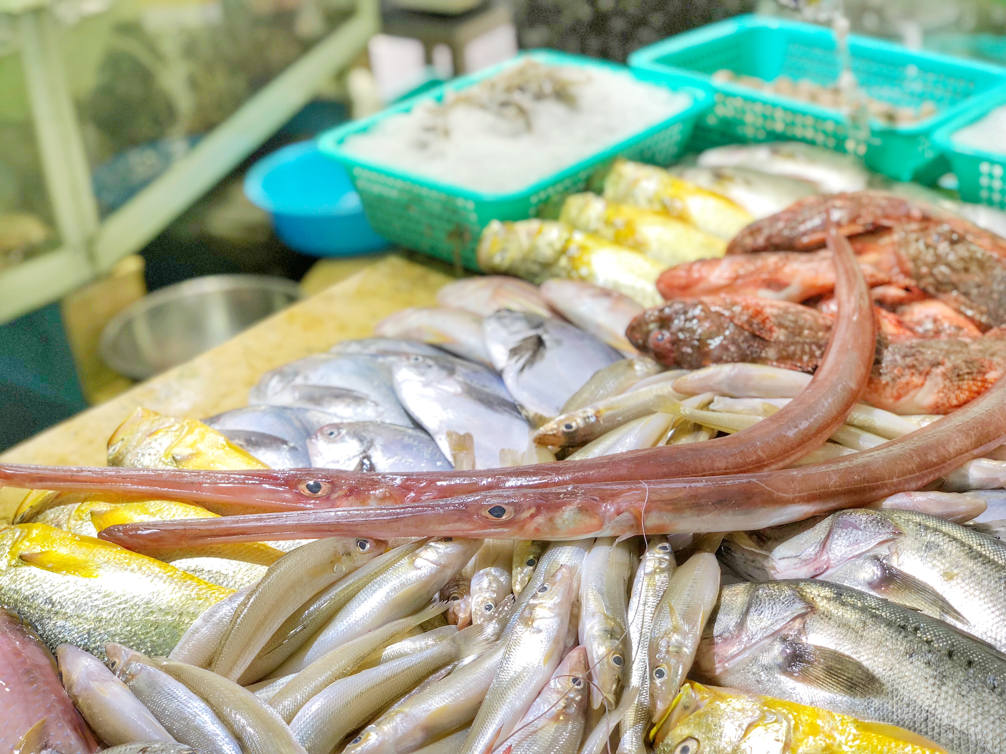 厦门小鱿鱼哪里最好吃,厦门海敢小鱿鱼团购