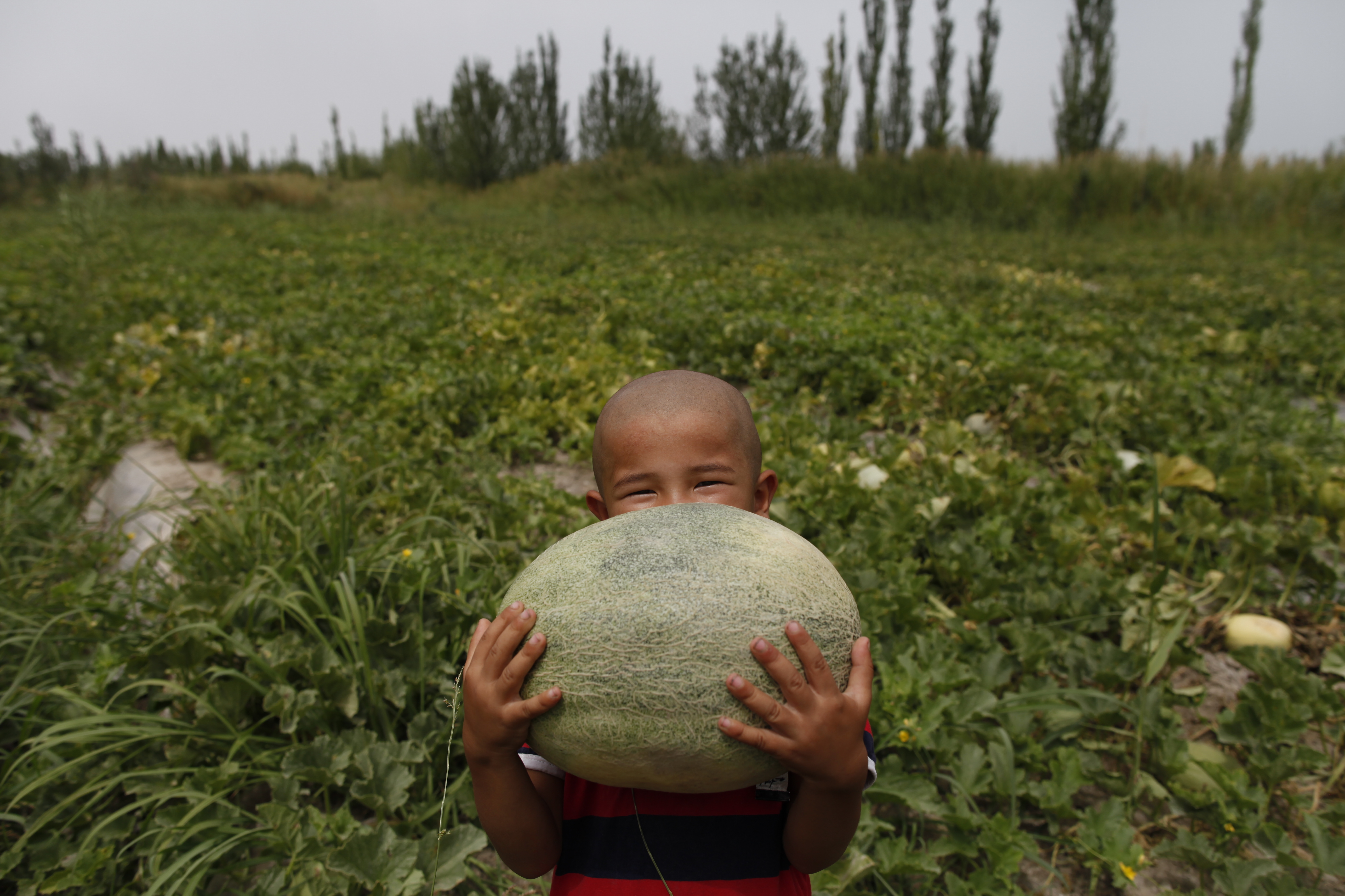 阿里巴巴创始人戴珊的努力经历,戴珊阿里巴巴网络技术