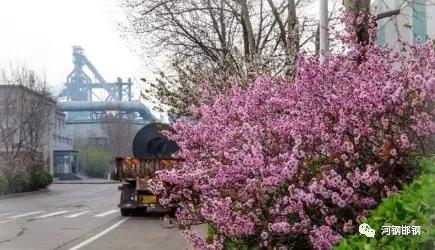 娌抽挗閭挗閾佽矾,娌抽挗閭挗楂樼倝