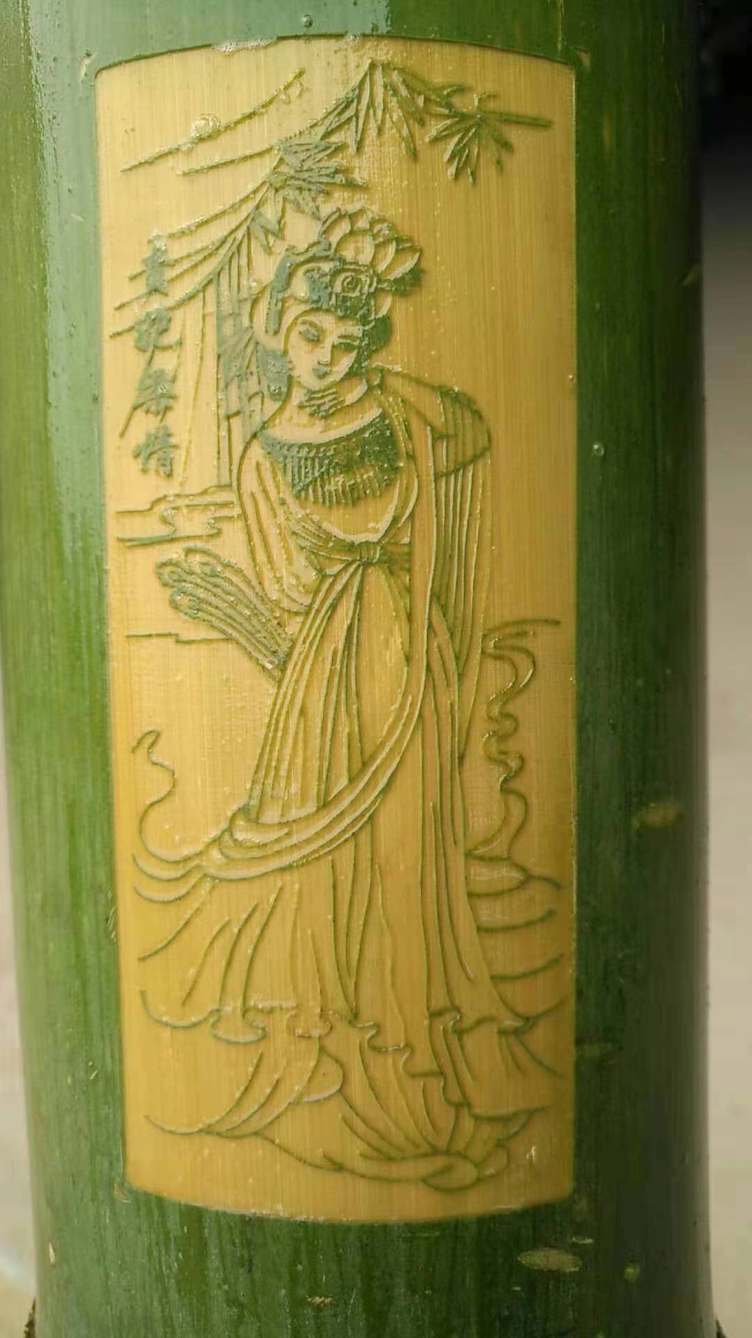 绿韵泉竹酒图片,绿韵泉活竹酒洛宁