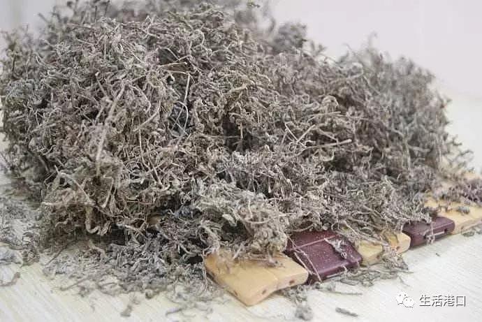 生活常识春茶,莓茶小知识