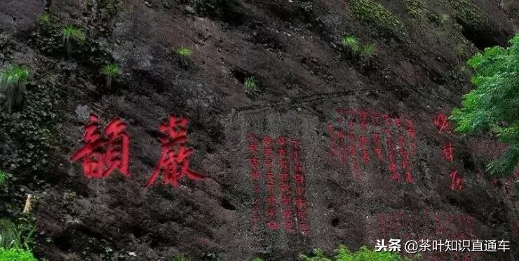 武夷岩茶里“坑、涧、窠、窝、洞、峰、岩”的奥妙