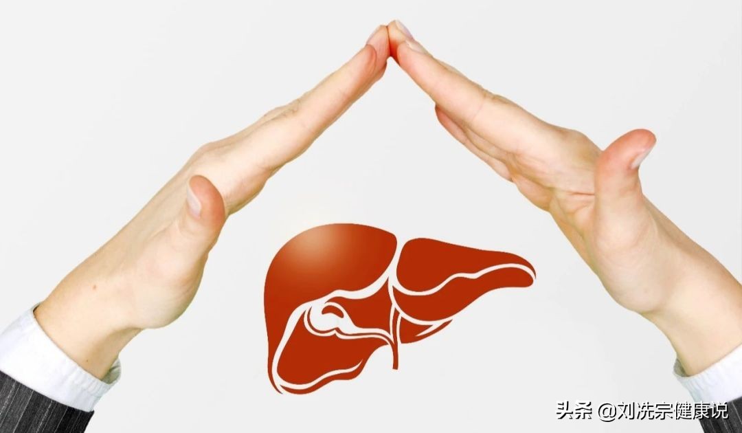 夏至为什么要养脾,夏至养生要注意哪些