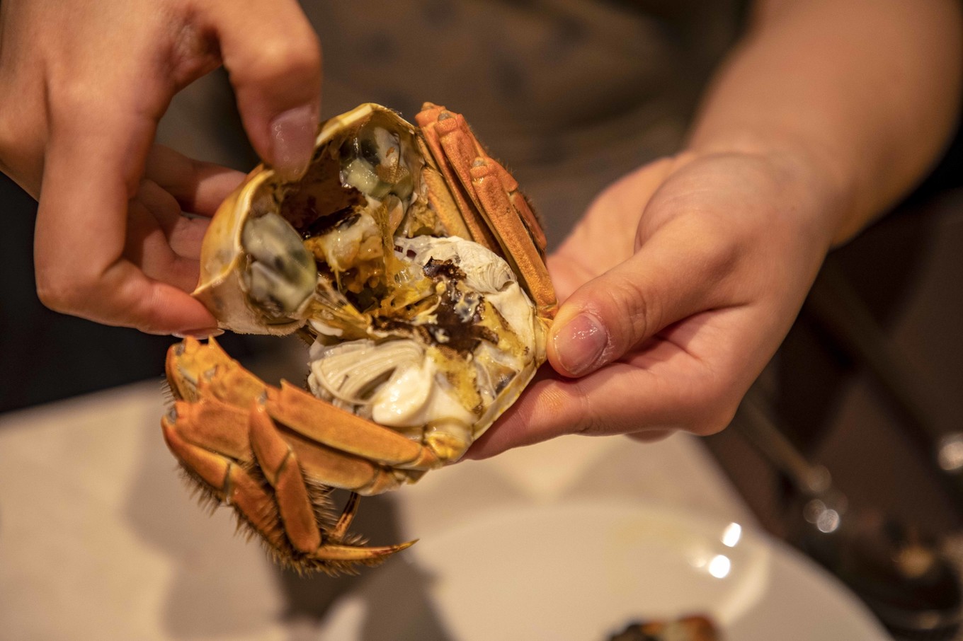 无锡市比较好的酒店,无锡最有意境的酒店