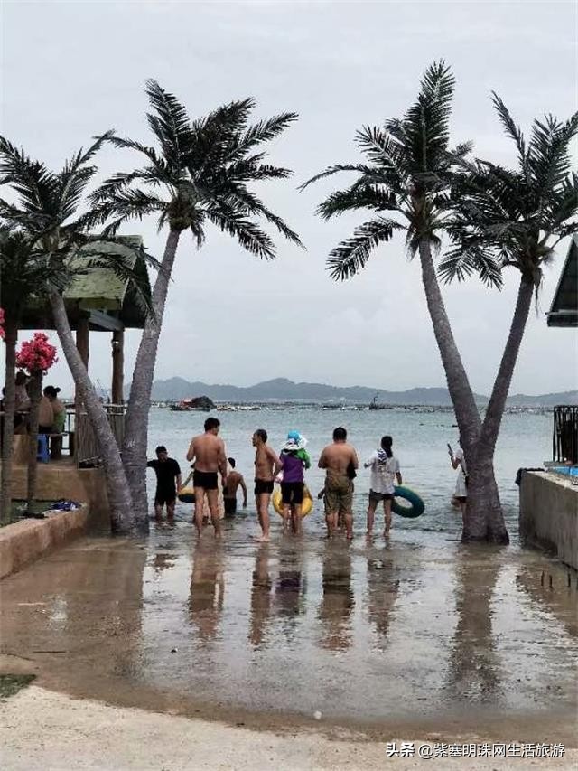 大连哈仙岛仙客来酒店,哈仙岛海鲲度假村