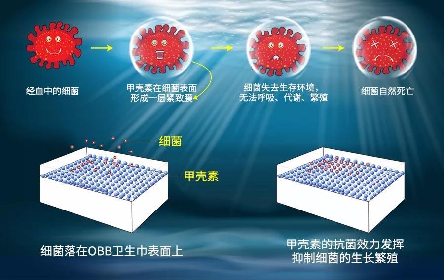 obb卫生巾哪种好,obb卫生巾是什么牌子