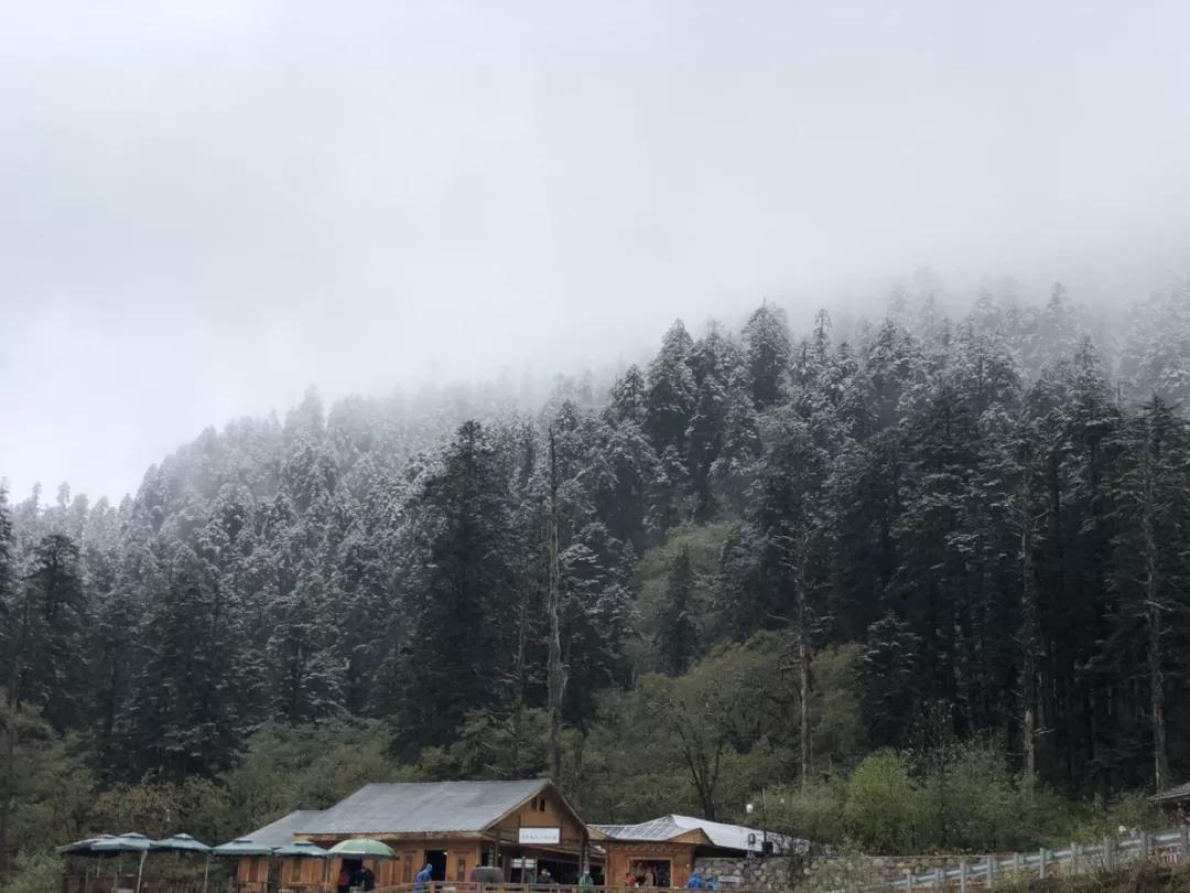 春节风景绝美的旅行地小众,春节云海旅游攻略
