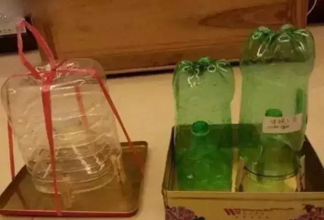 苍蝇太多自制工具,自制简单捕苍蝇神器