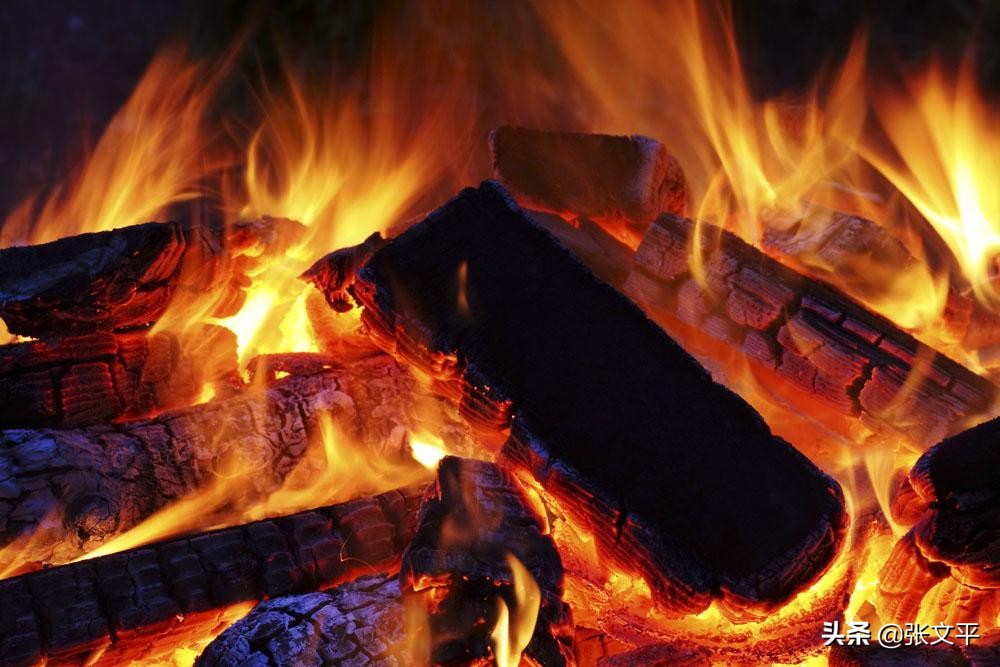 煤炭趣话大全,什么是煤炭焦炭木炭