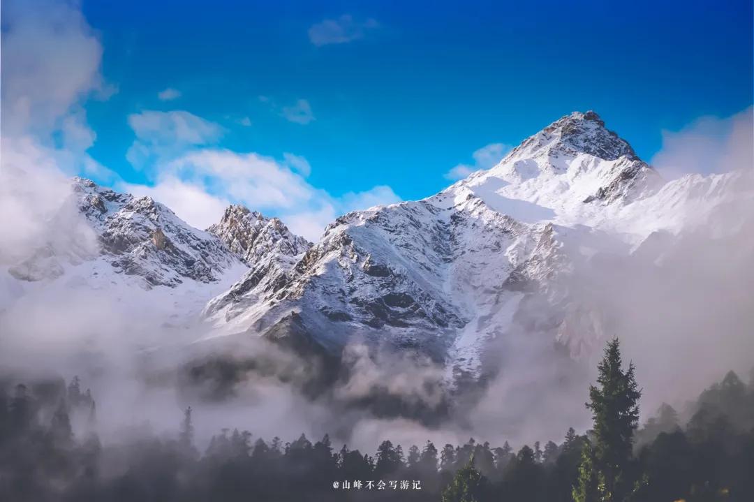 李子柒家乡成旅游景点,李子柒乡愁