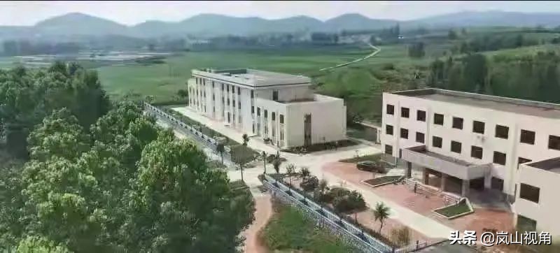 再传新捷报,再传捷报纪录片