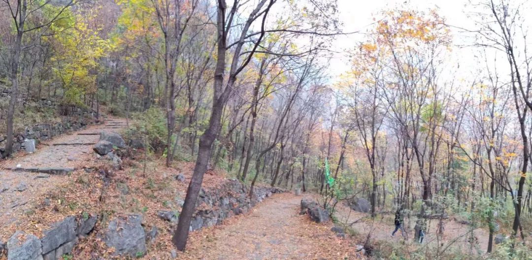 秋香四溢的白陉古道，诗意正浓