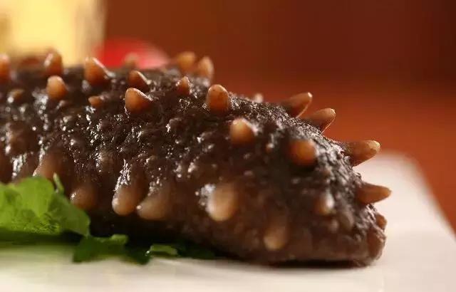 红海参比刺海参便宜,便宜海参叫什么参