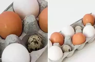 鸡蛋壳手工作品创意幼儿园,碎鸡蛋壳手工粘贴画动物图案