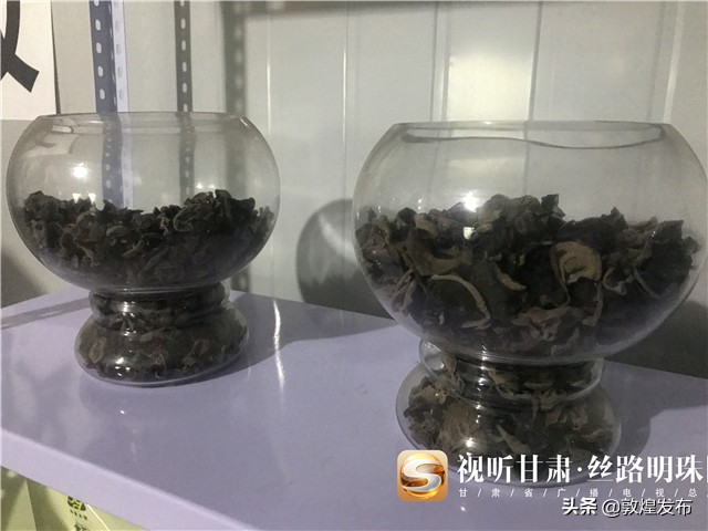 短视频|【决战决胜脱贫攻坚】漳县:小木耳化身致富“金耳朵”